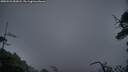 ./images/calvert/fitz-hugh-hecate/20250521/fitz-hugh-hecate20250521_052008M.jpg