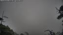 ./images/calvert/fitz-hugh-hecate/20250521/fitz-hugh-hecate20250521_053009M.jpg