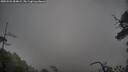 ./images/calvert/fitz-hugh-hecate/20250521/fitz-hugh-hecate20250521_054009M.jpg