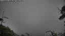 ./images/calvert/fitz-hugh-hecate/20250521/fitz-hugh-hecate20250521_054507M.jpg