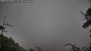 ./images/calvert/fitz-hugh-hecate/20250521/fitz-hugh-hecate20250521_055009M.jpg