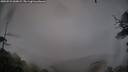 ./images/calvert/fitz-hugh-hecate/20250521/fitz-hugh-hecate20250521_060008M.jpg