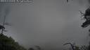 ./images/calvert/fitz-hugh-hecate/20250521/fitz-hugh-hecate20250521_061010M.jpg