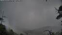 ./images/calvert/fitz-hugh-hecate/20250521/fitz-hugh-hecate20250521_061509M.jpg