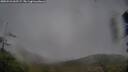 ./images/calvert/fitz-hugh-hecate/20250521/fitz-hugh-hecate20250521_062506M.jpg