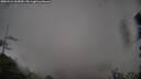./images/calvert/fitz-hugh-hecate/20250521/fitz-hugh-hecate20250521_063010M.jpg