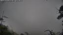 ./images/calvert/fitz-hugh-hecate/20250521/fitz-hugh-hecate20250521_063507M.jpg