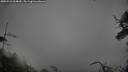 ./images/calvert/fitz-hugh-hecate/20250521/fitz-hugh-hecate20250521_064010M.jpg
