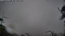 ./images/calvert/fitz-hugh-hecate/20250521/fitz-hugh-hecate20250521_064507M.jpg