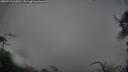 ./images/calvert/fitz-hugh-hecate/20250521/fitz-hugh-hecate20250521_065010M.jpg