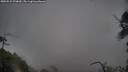 ./images/calvert/fitz-hugh-hecate/20250521/fitz-hugh-hecate20250521_070010M.jpg
