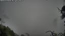./images/calvert/fitz-hugh-hecate/20250521/fitz-hugh-hecate20250521_070509M.jpg