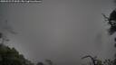 ./images/calvert/fitz-hugh-hecate/20250521/fitz-hugh-hecate20250521_071010M.jpg