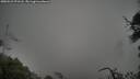 ./images/calvert/fitz-hugh-hecate/20250521/fitz-hugh-hecate20250521_071508M.jpg