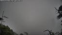 ./images/calvert/fitz-hugh-hecate/20250521/fitz-hugh-hecate20250521_072010M.jpg