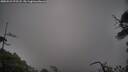 ./images/calvert/fitz-hugh-hecate/20250521/fitz-hugh-hecate20250521_072508M.jpg