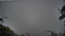 ./images/calvert/fitz-hugh-hecate/20250521/fitz-hugh-hecate20250521_073009M.jpg
