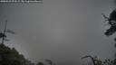 ./images/calvert/fitz-hugh-hecate/20250521/fitz-hugh-hecate20250521_073509M.jpg