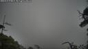 ./images/calvert/fitz-hugh-hecate/20250521/fitz-hugh-hecate20250521_074008M.jpg