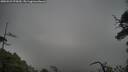 ./images/calvert/fitz-hugh-hecate/20250521/fitz-hugh-hecate20250521_075010M.jpg