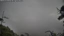 ./images/calvert/fitz-hugh-hecate/20250521/fitz-hugh-hecate20250521_075509M.jpg