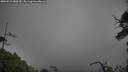 ./images/calvert/fitz-hugh-hecate/20250521/fitz-hugh-hecate20250521_080009M.jpg