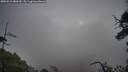 ./images/calvert/fitz-hugh-hecate/20250521/fitz-hugh-hecate20250521_080510M.jpg
