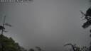 ./images/calvert/fitz-hugh-hecate/20250521/fitz-hugh-hecate20250521_081010M.jpg