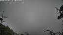 ./images/calvert/fitz-hugh-hecate/20250521/fitz-hugh-hecate20250521_081509M.jpg