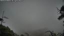 ./images/calvert/fitz-hugh-hecate/20250521/fitz-hugh-hecate20250521_082010M.jpg