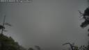 ./images/calvert/fitz-hugh-hecate/20250521/fitz-hugh-hecate20250521_083009M.jpg