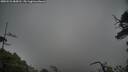 ./images/calvert/fitz-hugh-hecate/20250521/fitz-hugh-hecate20250521_084510M.jpg