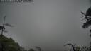 ./images/calvert/fitz-hugh-hecate/20250521/fitz-hugh-hecate20250521_085010M.jpg