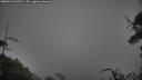 ./images/calvert/fitz-hugh-hecate/20250521/fitz-hugh-hecate20250521_090509M.jpg