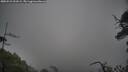 ./images/calvert/fitz-hugh-hecate/20250521/fitz-hugh-hecate20250521_091009M.jpg