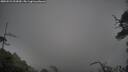 ./images/calvert/fitz-hugh-hecate/20250521/fitz-hugh-hecate20250521_092010M.jpg