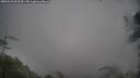 ./images/calvert/fitz-hugh-hecate/20250521/fitz-hugh-hecate20250521_092510M.jpg