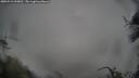./images/calvert/fitz-hugh-hecate/20250521/fitz-hugh-hecate20250521_093011M.jpg