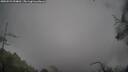 ./images/calvert/fitz-hugh-hecate/20250521/fitz-hugh-hecate20250521_094010M.jpg