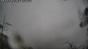 ./images/calvert/fitz-hugh-hecate/20250521/fitz-hugh-hecate20250521_094507M.jpg