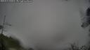 ./images/calvert/fitz-hugh-hecate/20250521/fitz-hugh-hecate20250521_095010M.jpg