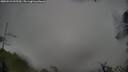 ./images/calvert/fitz-hugh-hecate/20250521/fitz-hugh-hecate20250521_095509M.jpg