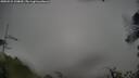 ./images/calvert/fitz-hugh-hecate/20250521/fitz-hugh-hecate20250521_100010M.jpg