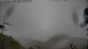 ./images/calvert/fitz-hugh-hecate/20250521/fitz-hugh-hecate20250521_100508M.jpg