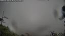./images/calvert/fitz-hugh-hecate/20250521/fitz-hugh-hecate20250521_101009M.jpg