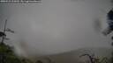 ./images/calvert/fitz-hugh-hecate/20250521/fitz-hugh-hecate20250521_102010M.jpg