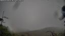 ./images/calvert/fitz-hugh-hecate/20250521/fitz-hugh-hecate20250521_102509M.jpg