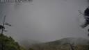 ./images/calvert/fitz-hugh-hecate/20250521/fitz-hugh-hecate20250521_103509M.jpg