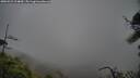 ./images/calvert/fitz-hugh-hecate/20250521/fitz-hugh-hecate20250521_104009M.jpg