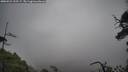 ./images/calvert/fitz-hugh-hecate/20250521/fitz-hugh-hecate20250521_105508M.jpg